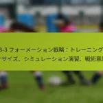 featured-image-1-3-3-3-huo-me-shiyonzhan-lue-tore-ninguekusasaizu-shimiyure-shiyonyan-xi-zhan-shu-yi-shi